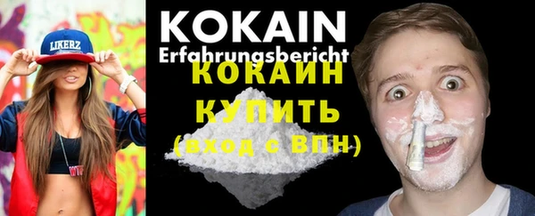 ГАЛЛЮЦИНОГЕННЫЕ ГРИБЫ Бородино