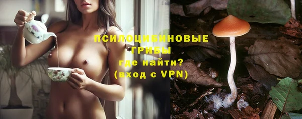герыч Бронницы