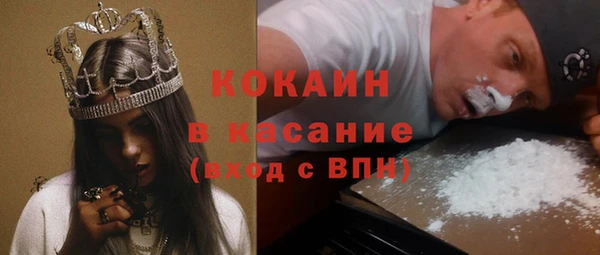 ГАЛЛЮЦИНОГЕННЫЕ ГРИБЫ Бородино