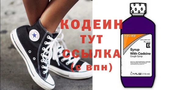 ГАЛЛЮЦИНОГЕННЫЕ ГРИБЫ Бородино