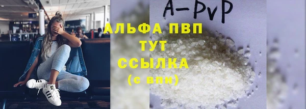 ГАЛЛЮЦИНОГЕННЫЕ ГРИБЫ Бородино