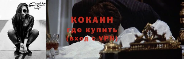 ГАЛЛЮЦИНОГЕННЫЕ ГРИБЫ Бородино
