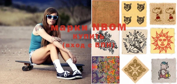 ГАЛЛЮЦИНОГЕННЫЕ ГРИБЫ Бородино