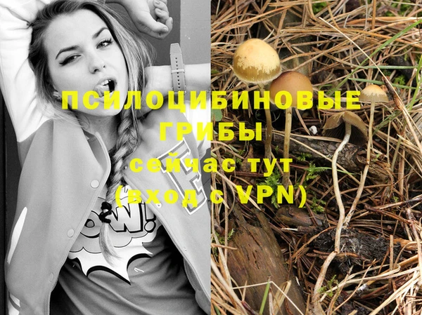 ГАЛЛЮЦИНОГЕННЫЕ ГРИБЫ Бородино
