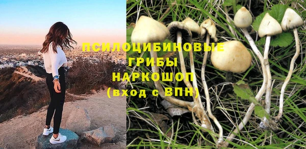 герыч Бронницы